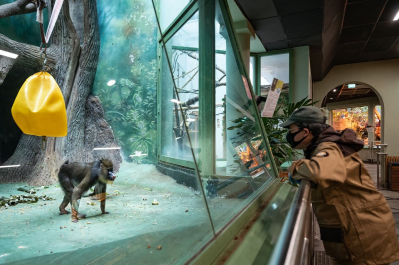«Московский зоопарк. Изоляция» — авторский фотопроект Михаила Киракосяна